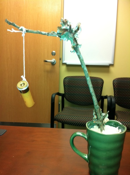 tree.jpg.JPG tree.jpg.JPG